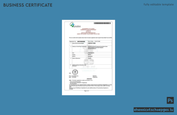 Beispiel- und PDF-Vorschau des indischen Kachchh-Mehrwertsteuerregistrierungszertifikats